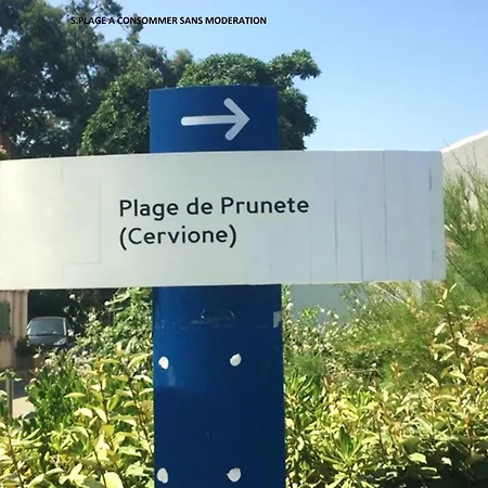 Bord De Mer,3 Chambres, Piscine Chauffee, Climatisee