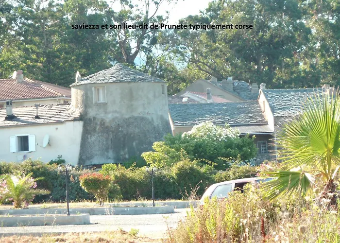 Bord De Mer,3 Chambres, Piscine Chauffee, Climatisee