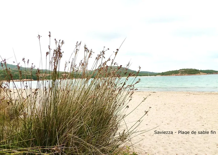 Bord De Mer,3 Chambres, Piscine Chauffee, Climatisee * 切尔维奥内