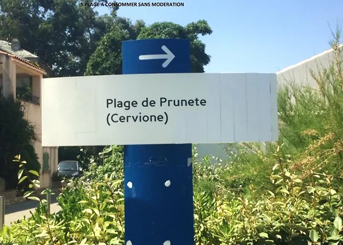 Bord De Mer,3 Chambres, Piscine Chauffee, Climatisee